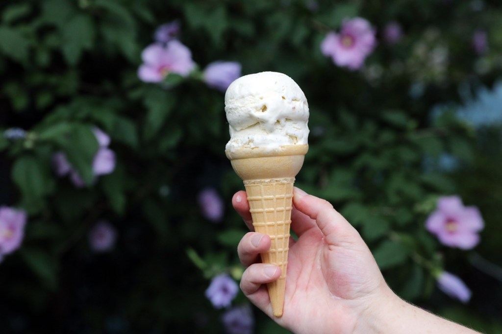 Lower Hudson Valley ice cream shops