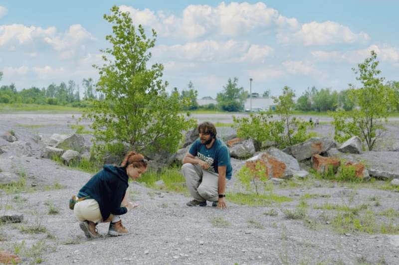 two people rock hunting in New York