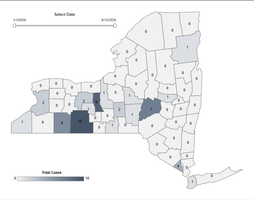 measles dashboard