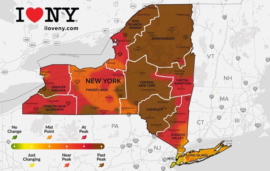 A map of NY fall foliage