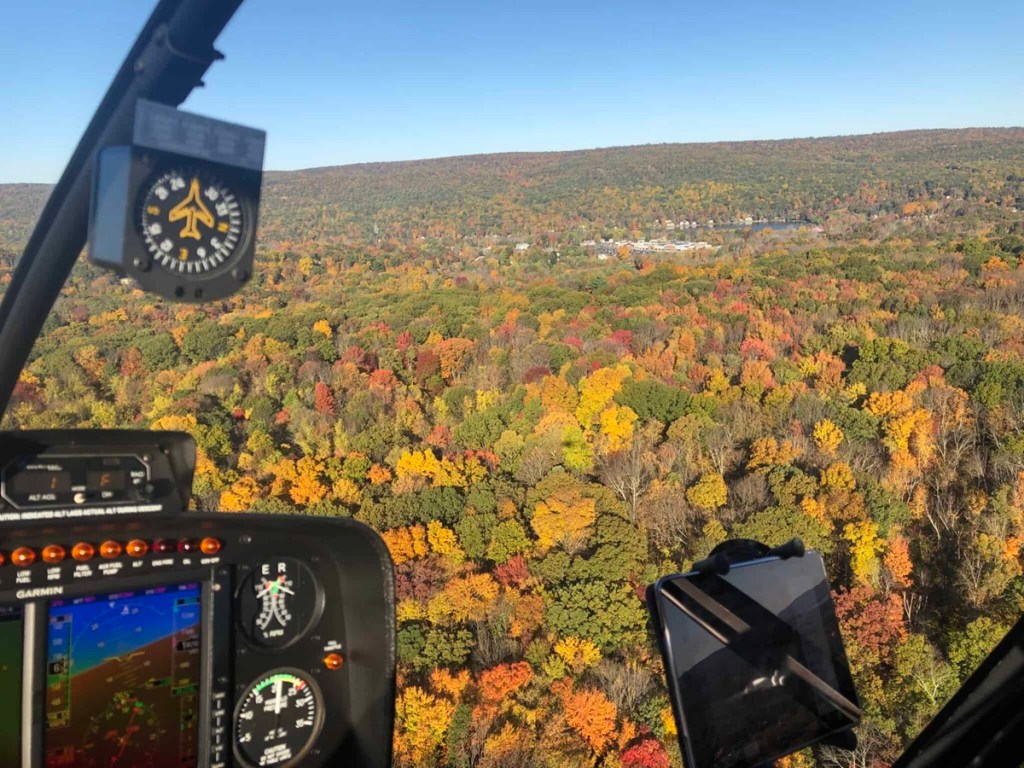 A bird's eye view of fall foliage in the NYC suburbs