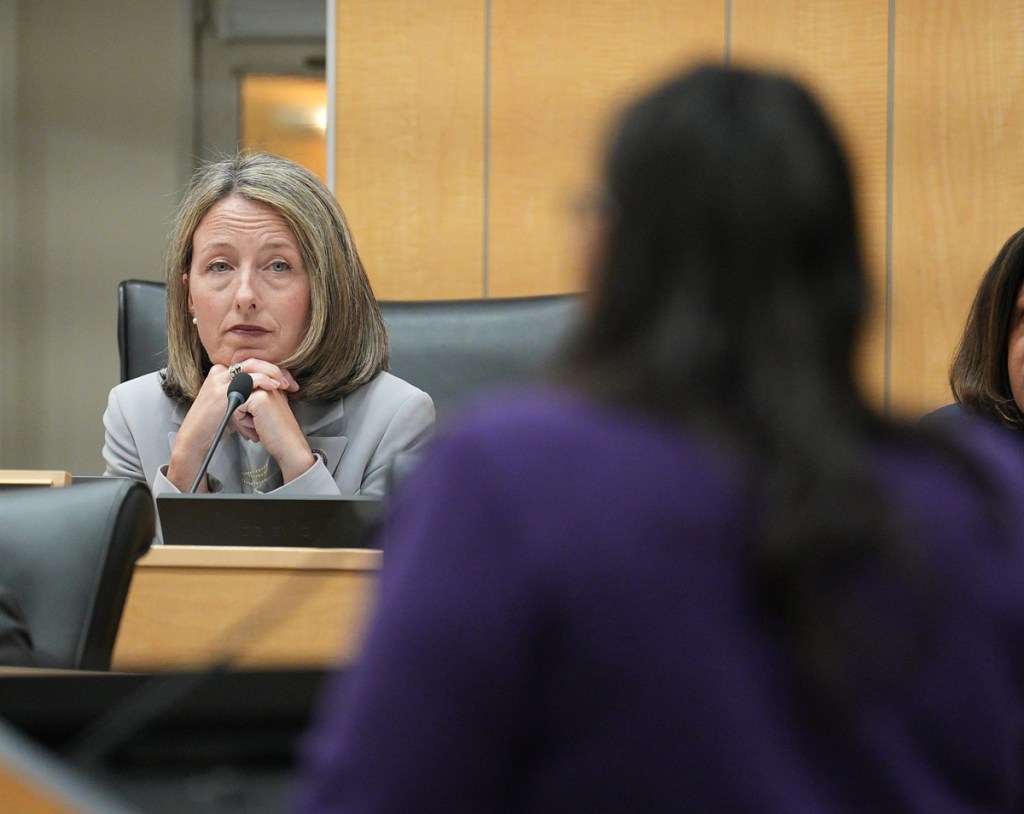 legislators discuss domestic violence solutions