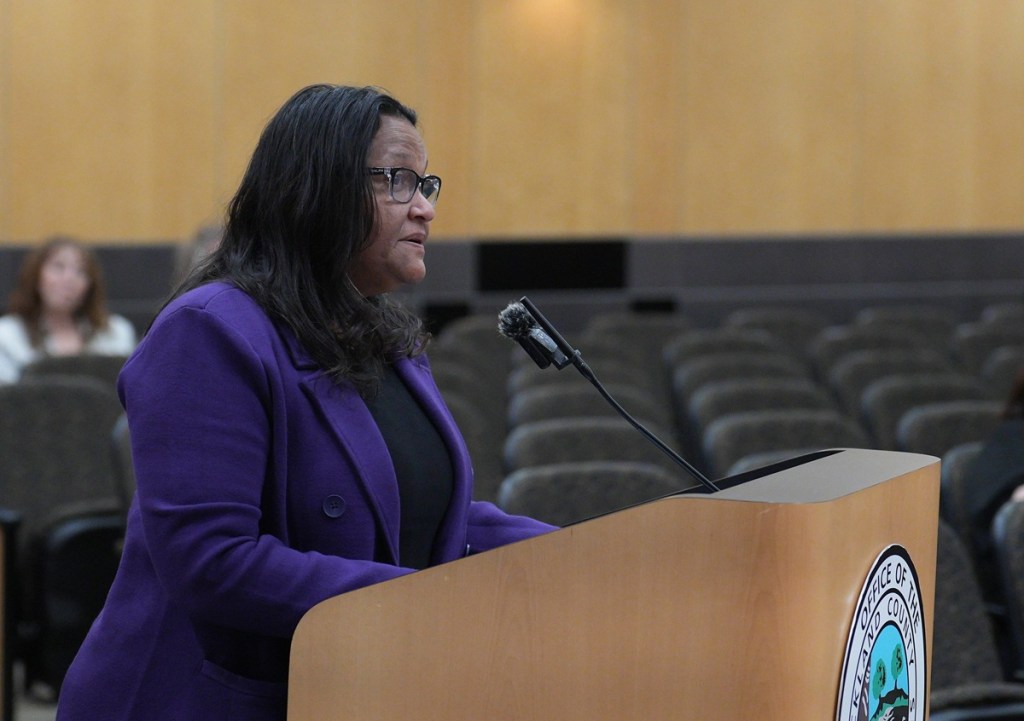 legislators discuss domestic violence solutions