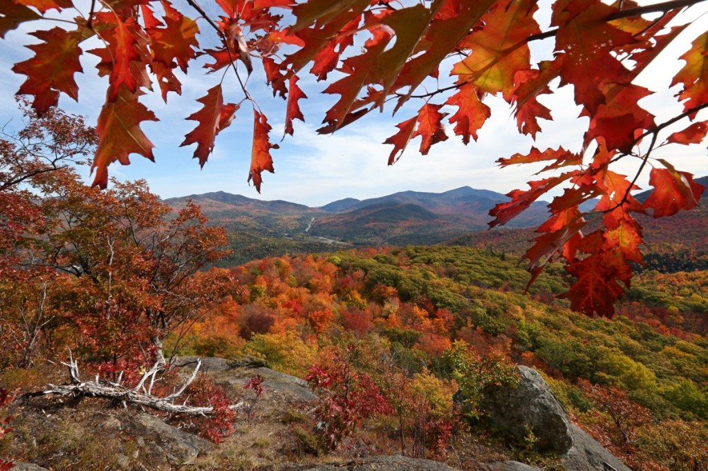 Fall foliage in the Adirondacks